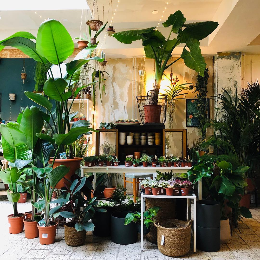 filya indoor garden den haag barts boekje