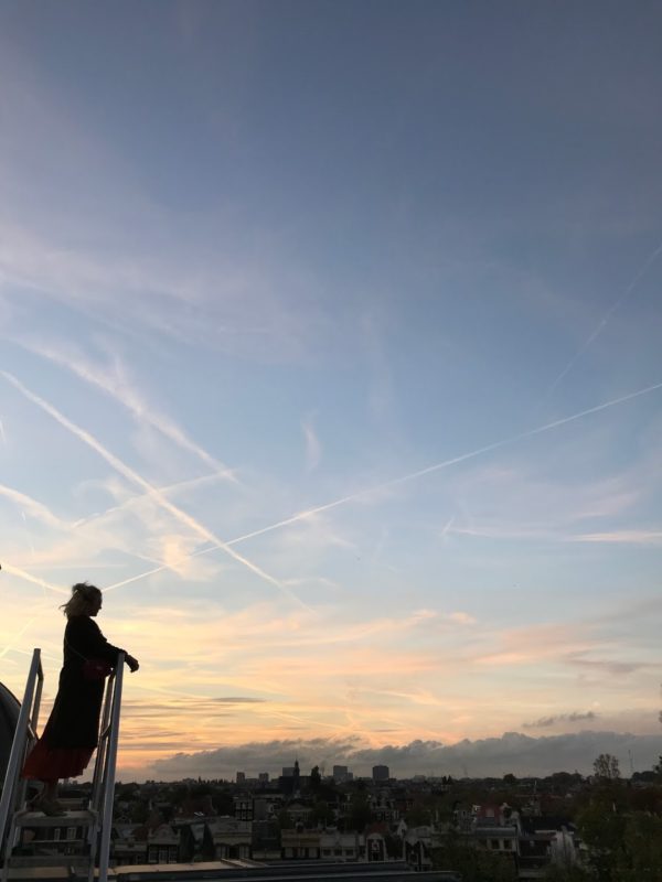 Festival ROEF – het hoogste festival van Amsterdam: 7 + 8 juni 2019