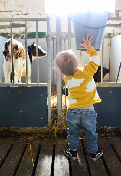 Campina Open Boerderijdagen