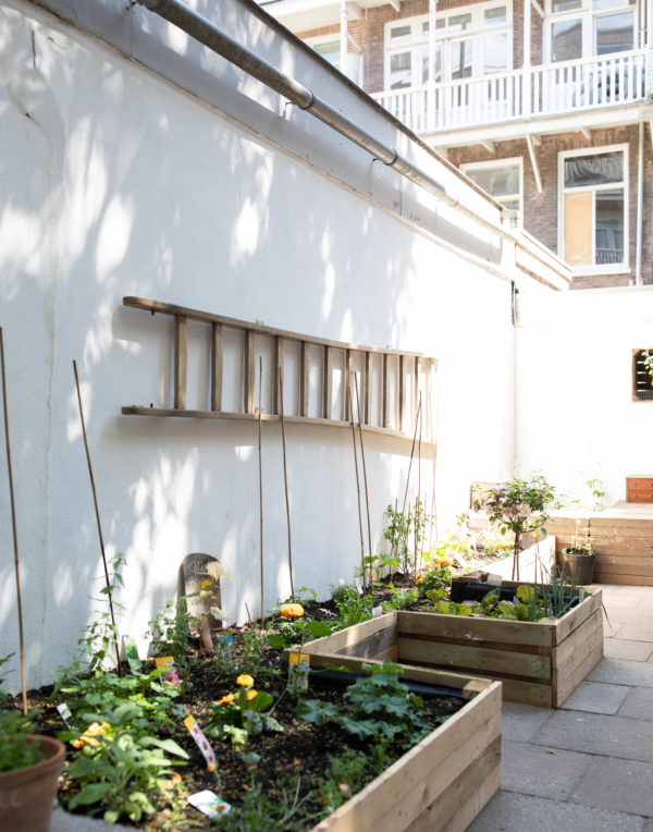 Plasticvrij en vegan in Amsterdam West: Little Plant Pantry