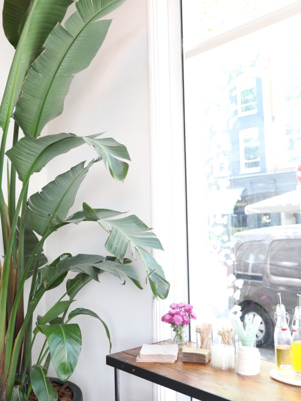 Nieuw en gezond in De Pijp in Amsterdam: Matcha Mafia