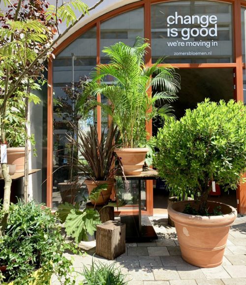 ’s Zomers Bloemen Rotterdam verhuist en wordt Urban Botanical Warehouse ’s Zomers Rotterdam