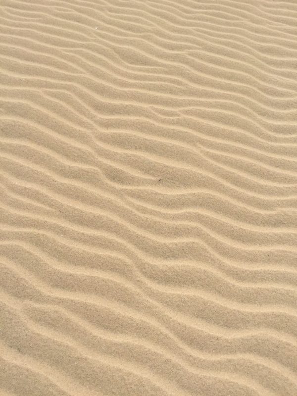 Nieuw stadsstrand in Amsterdam West: hallo BoLo Beach Amsterdam!