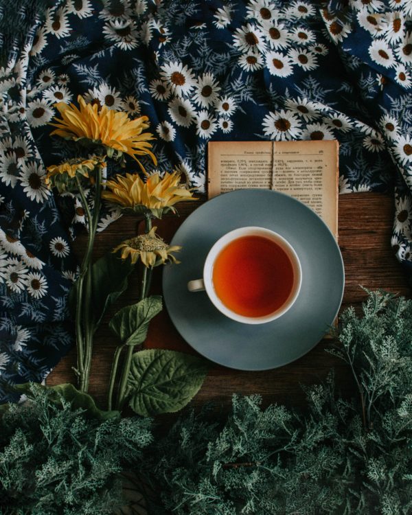 Tea Time! How to Theeleuten in New York