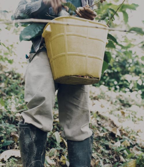 1 t/m 11 oktober in Amsterdam: Fairtrade koffie, Wereld Koffie Dag en een Community Coffee Gallery
