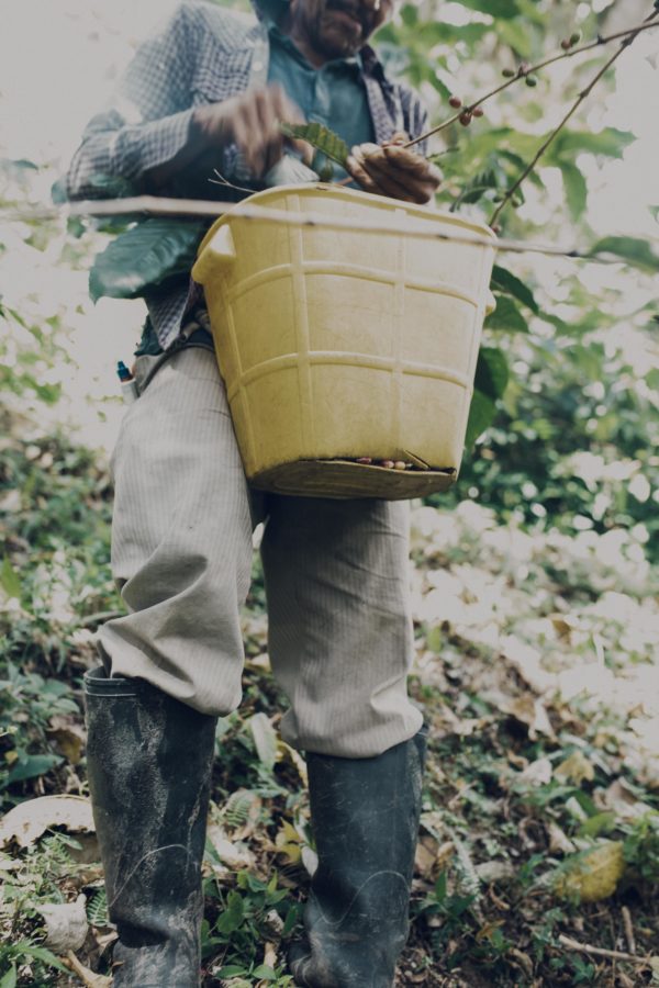 1 t/m 11 oktober in Amsterdam: Fairtrade koffie, Wereld Koffie Dag en een Community Coffee Gallery