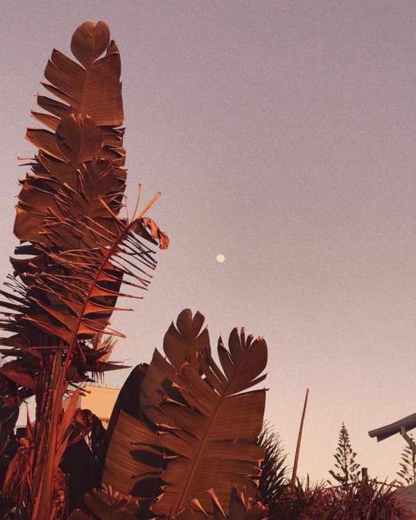 Leven met een maankalender: Moon Calendar 2020