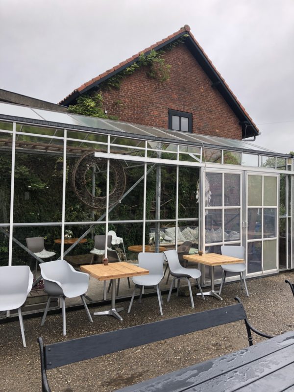 Jaaha, het plukseizoen is weer geopend! Landgoed Olmhorst in Lisserbroek is the place to go.
