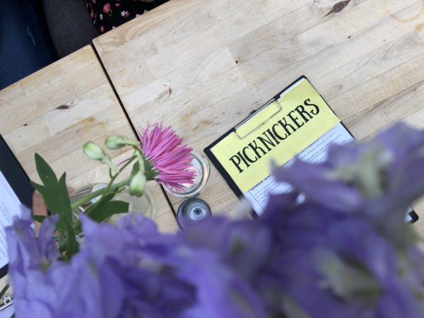 Friese favoriet: Picknickers in Terherne, Friesland