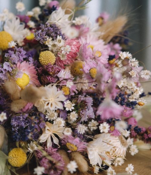 Droogbloemen en Pampasgrassen kopen in Amsterdam