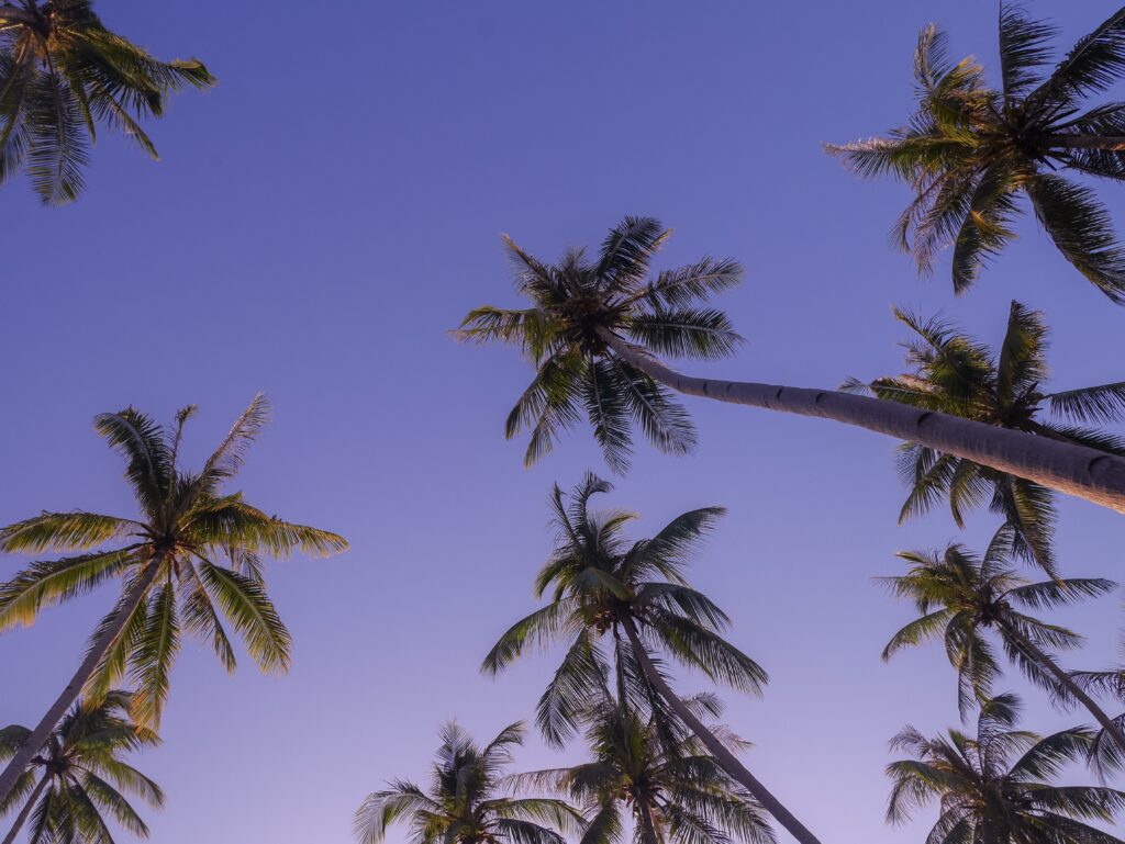 Barts Best of: the Philippines. Part 4: Dryft Darocotan Island