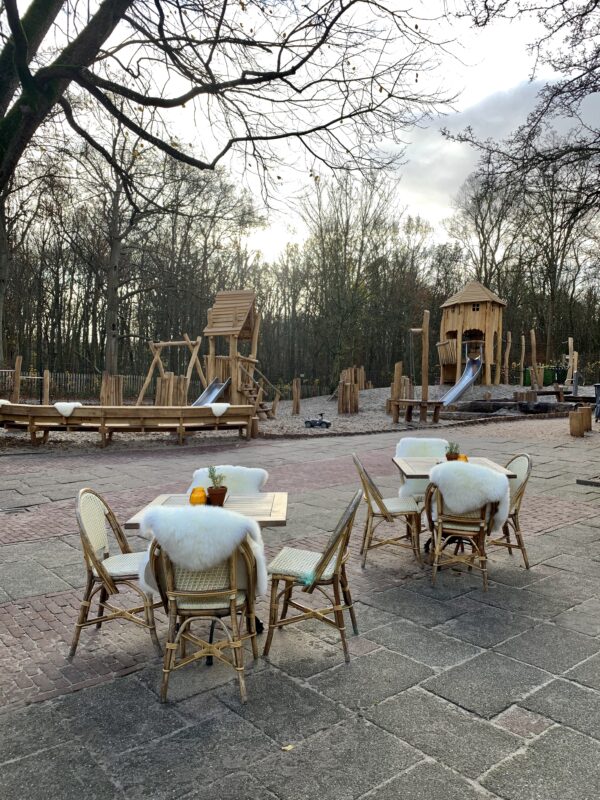 Icoon in de prachtige duinen: Kraantje Lek