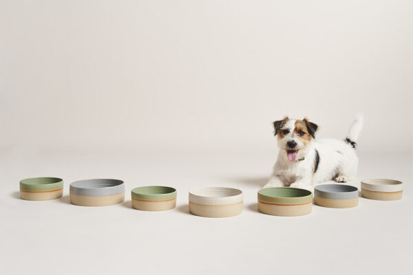 Barts Beest: PAWNESS (+ 15% van de winst aan stichting HomelessDogs) + winnen!