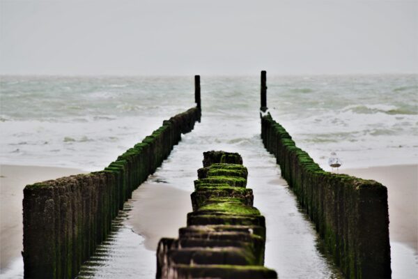 Goed idee: Rondje Zeeland