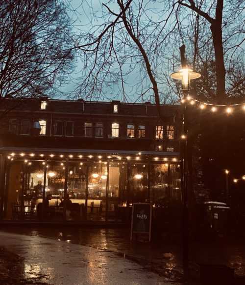Nieuw restaurant in het Bilderdijkpark: restaurant Druis Amsterdam