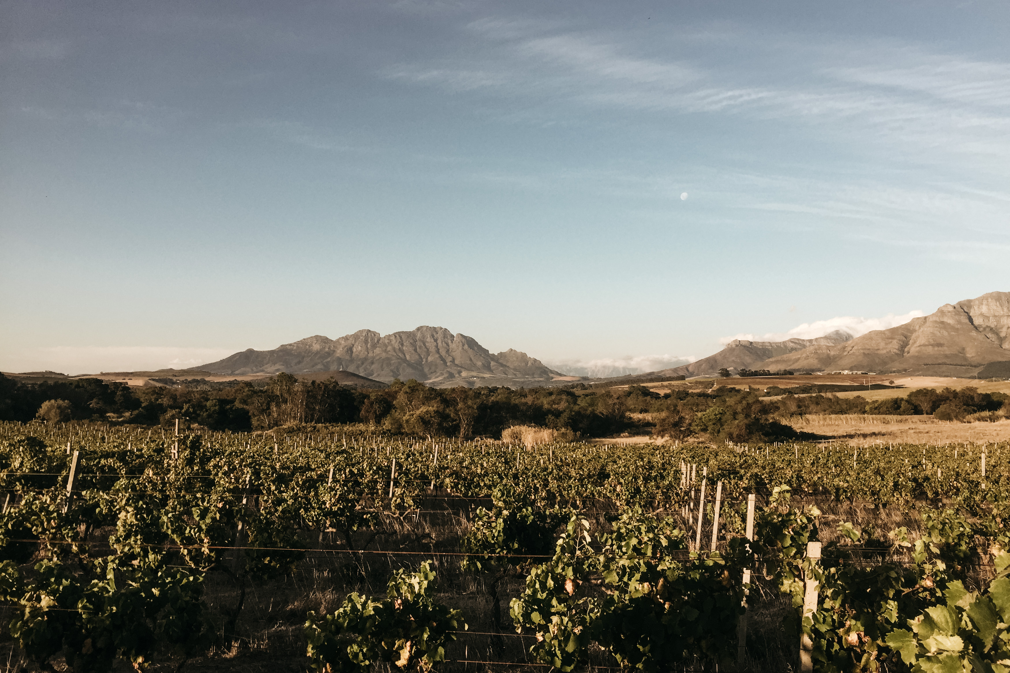 stellenbosch zuid afrika