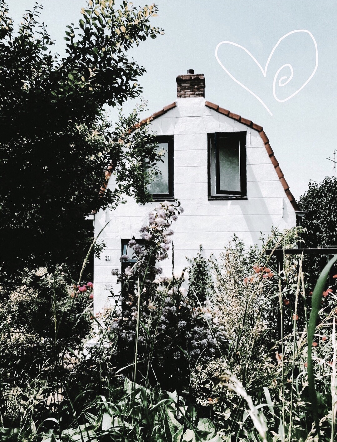 Lief Huisje Zeeland en Wit Huisje Zeeland