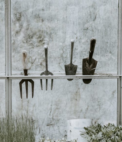 Een droge tuin, zo ga je er mee om