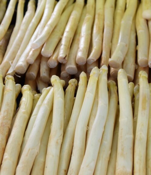 Waar haal je NU de beste/lekkerste asperges?