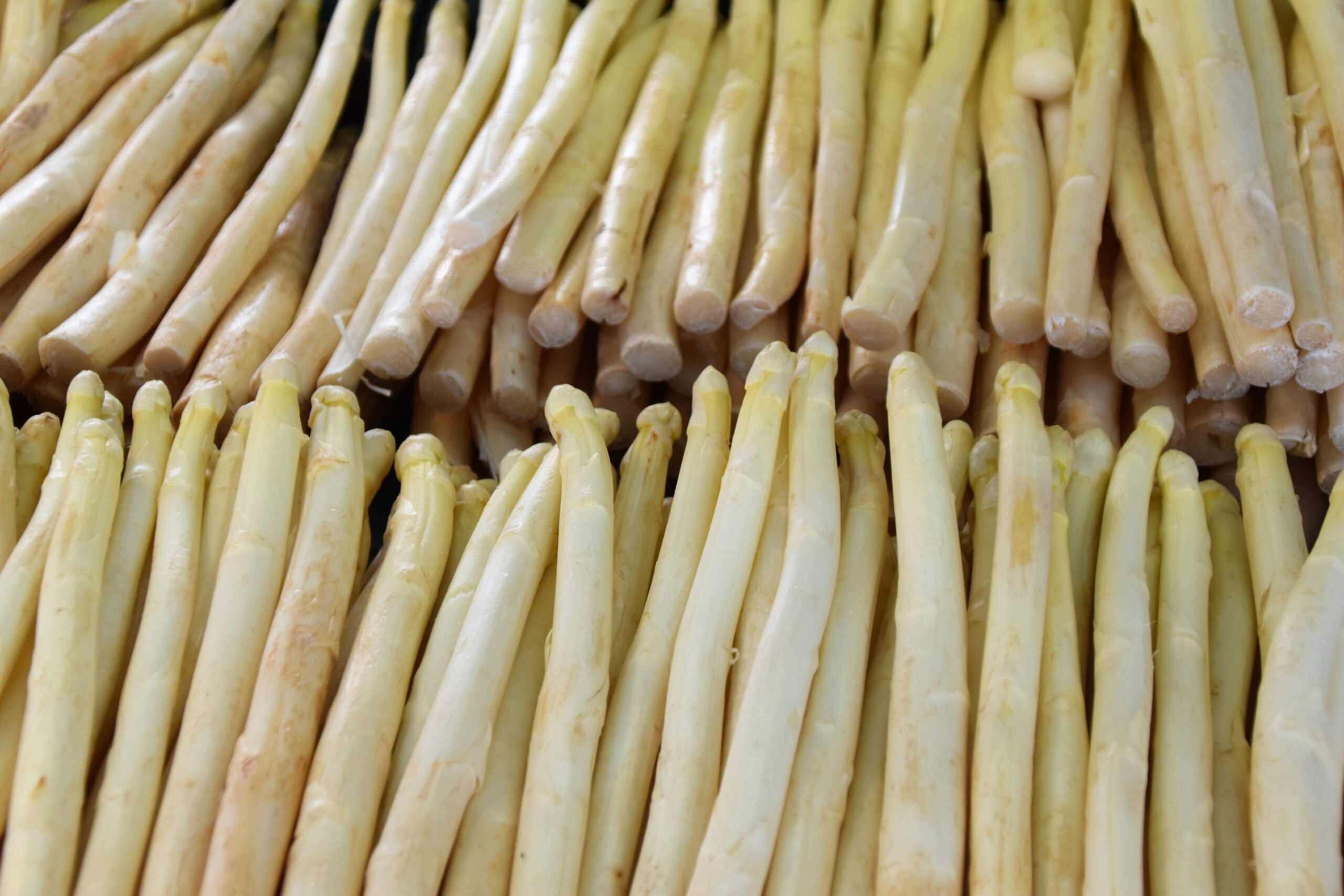 asperges