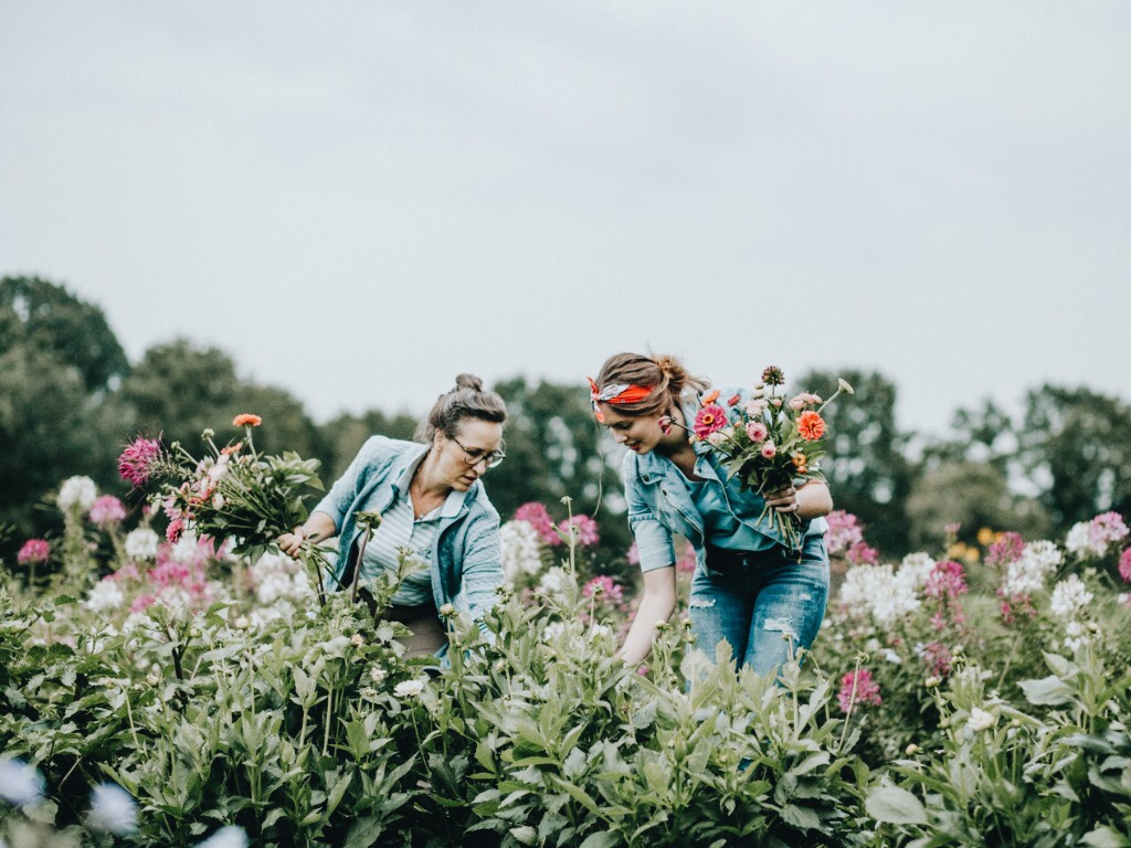 Beleeftuin Eekhoeve Veenendaal pluktuin moestuin Nederland