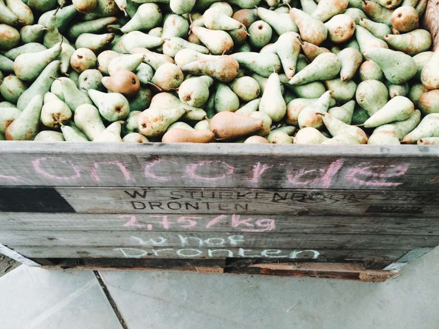 Fruittuin van West Amsterdam Nederland