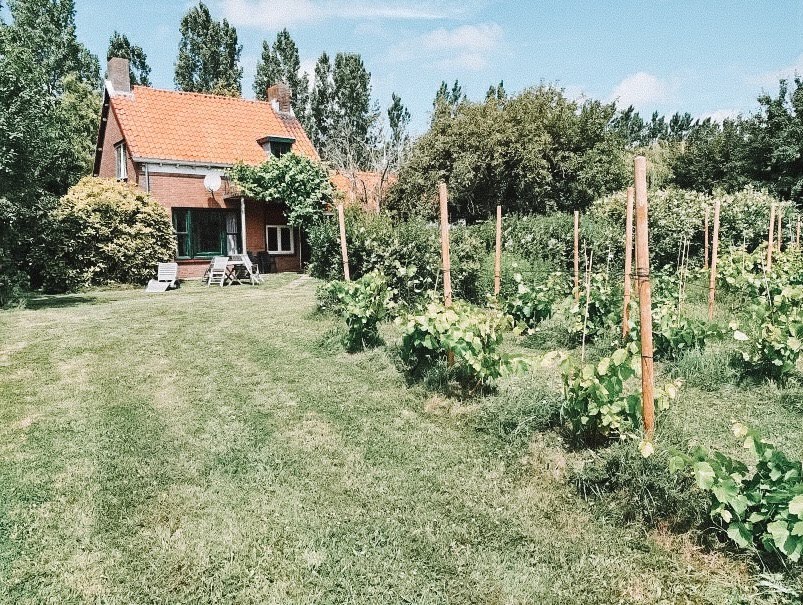 Natuurhuisje in Retranchement Zeeland Nederland