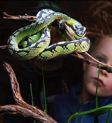 natuurmuseum-fryslan