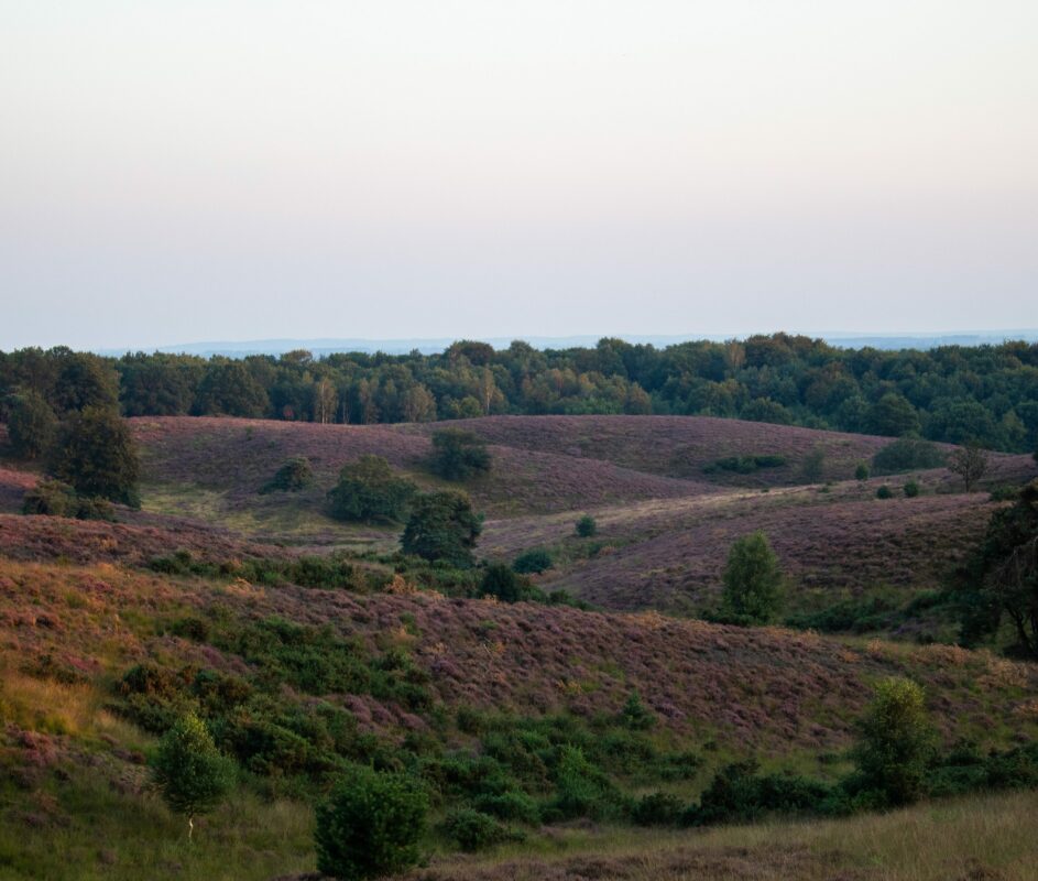 Buitenhuis Op de Veluwe - Barts Boekje