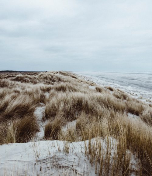 Uitwaaien op het strand? Hier kan het! Bij deze strandtenten is de ‘to go’ on fleek