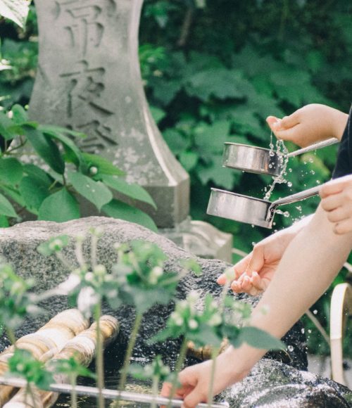 Tuinkalender van mei: 5 tips om je tuin groeiend en bloeiend te houden