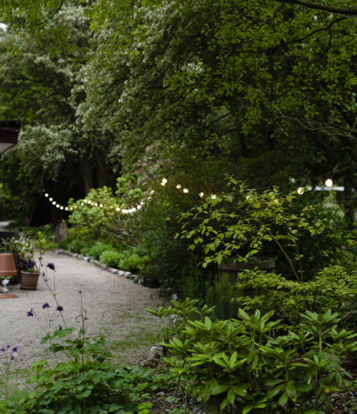 Dineren in de weelde van de Maaltuin, Rotterdam: in de Trompenburg Tuinen en Arboretum