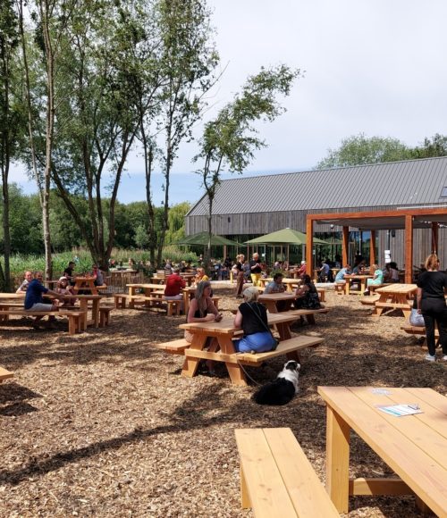 Proeflokaal House of Bird in Diemerbos gaat vliegend van start