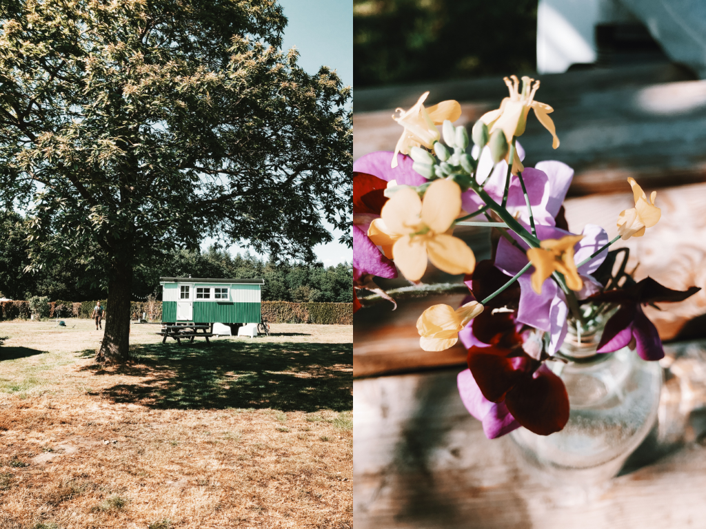 Camping de Vriendschap pipowagen op het veld en bloemen veluwe Nederland