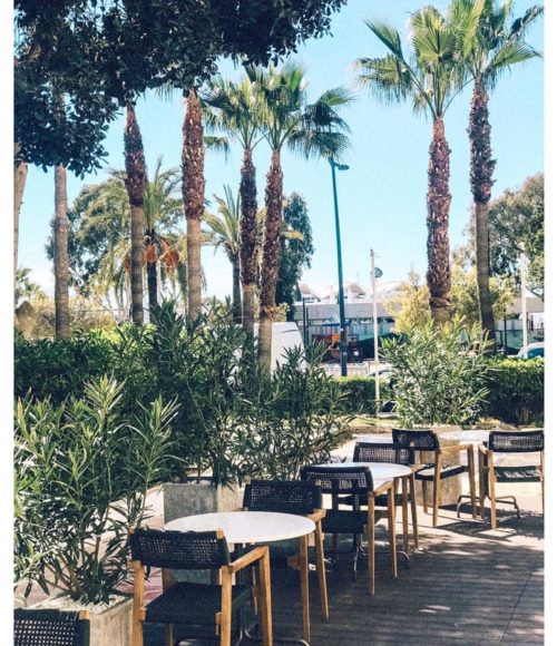 Nieuwe Healthy Hotspot op Ibiza: The Passion Café Ibiza
