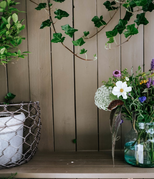 We zetten de bloemetjes buiten (met de BioBos van Bloomon)