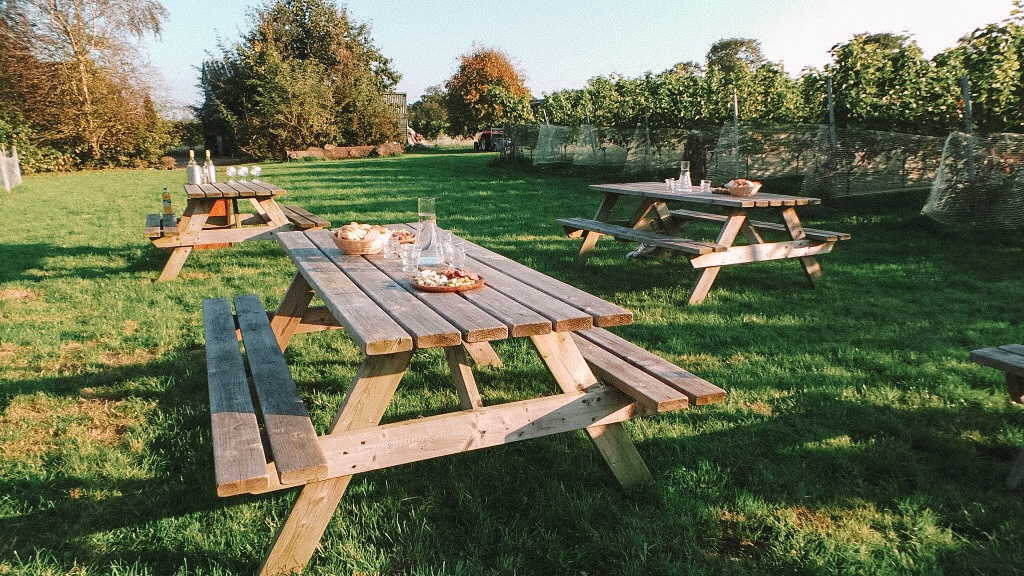 Picknicktafel op Wijngaard de Frysling in Friesland