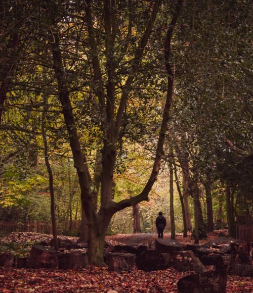 op avontuur in het Nederlandse ‘wild’. Deel 1: het Nachtcollege