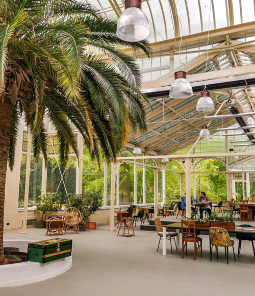 Wintertuin Experience Baarn