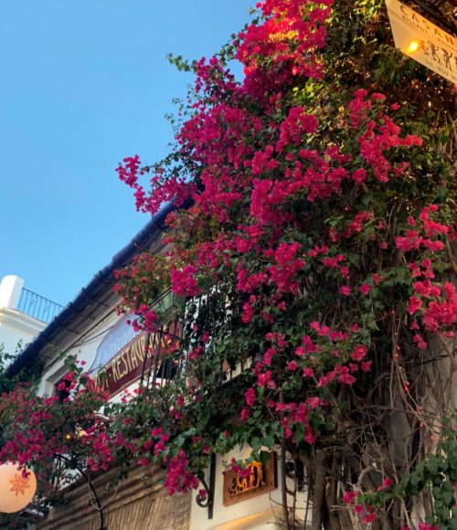 Het leukste van Marbella
