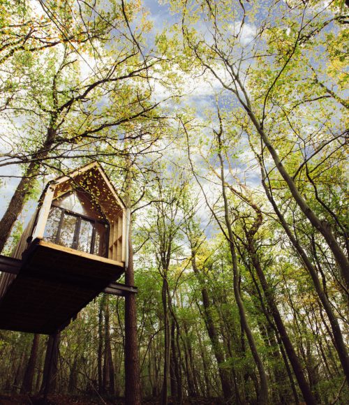 De mooiste cabins en boomhutten in de Ardennen: Slô Escape Belgie