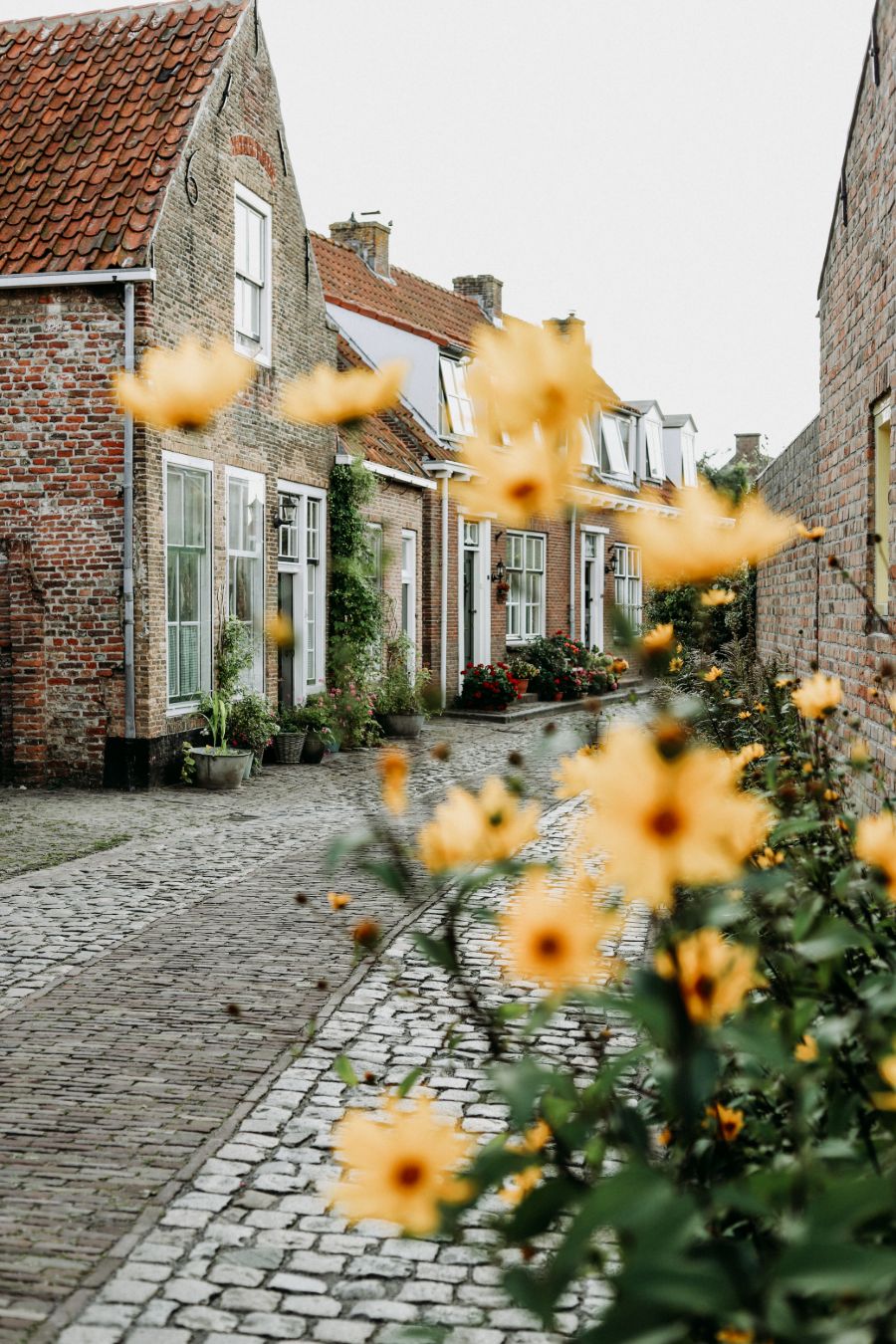 Straatje met bloemen in Veere Zeeland