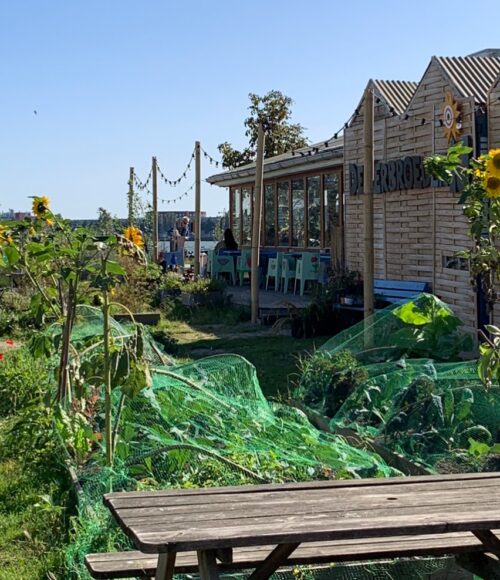 VerbroederIJ, Amsterdam Noord