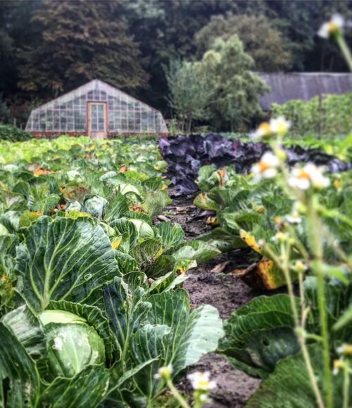 Restaurants door heel Nederland met een eigen moestuin
