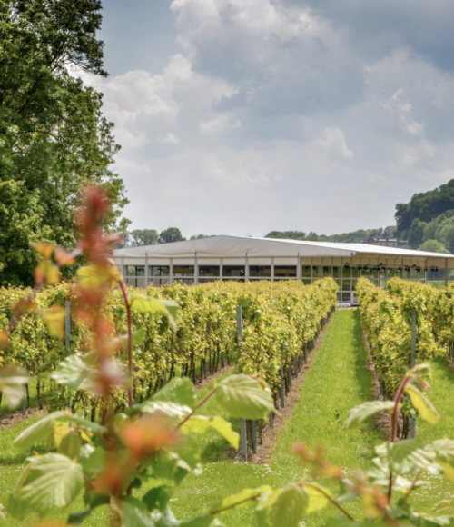 Uniek dineren tussen de wijngaarden bij Wijnrestaurant op het land (Limburg) van 12 september tot 4 oktober