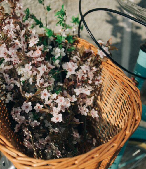 Niet te missen: de eerste bloemen en planten fiets drive-thru in Amsterdam