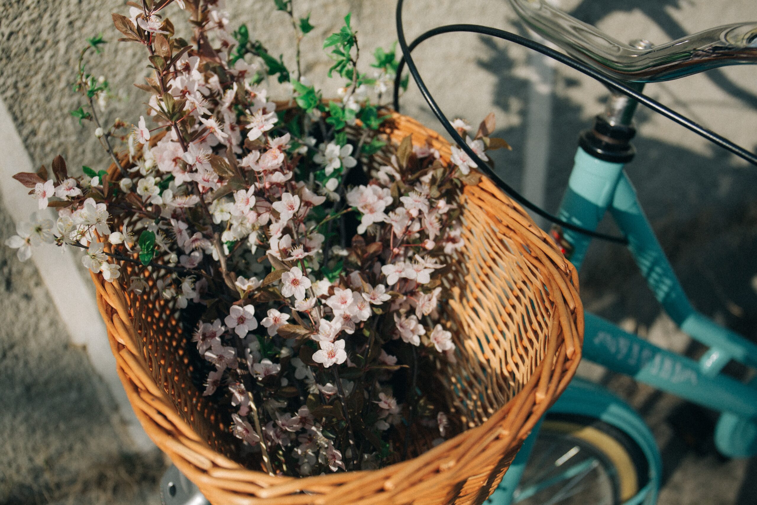 bloemen en planten fiets drive-thru in Amsterdam