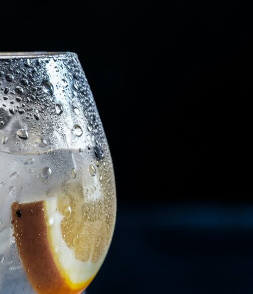 Voor de vrijmibo: de lekkerste gins van het land