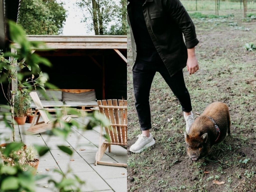 De tuin en varkentje Lou Lou Tiny Hotel Nederland
