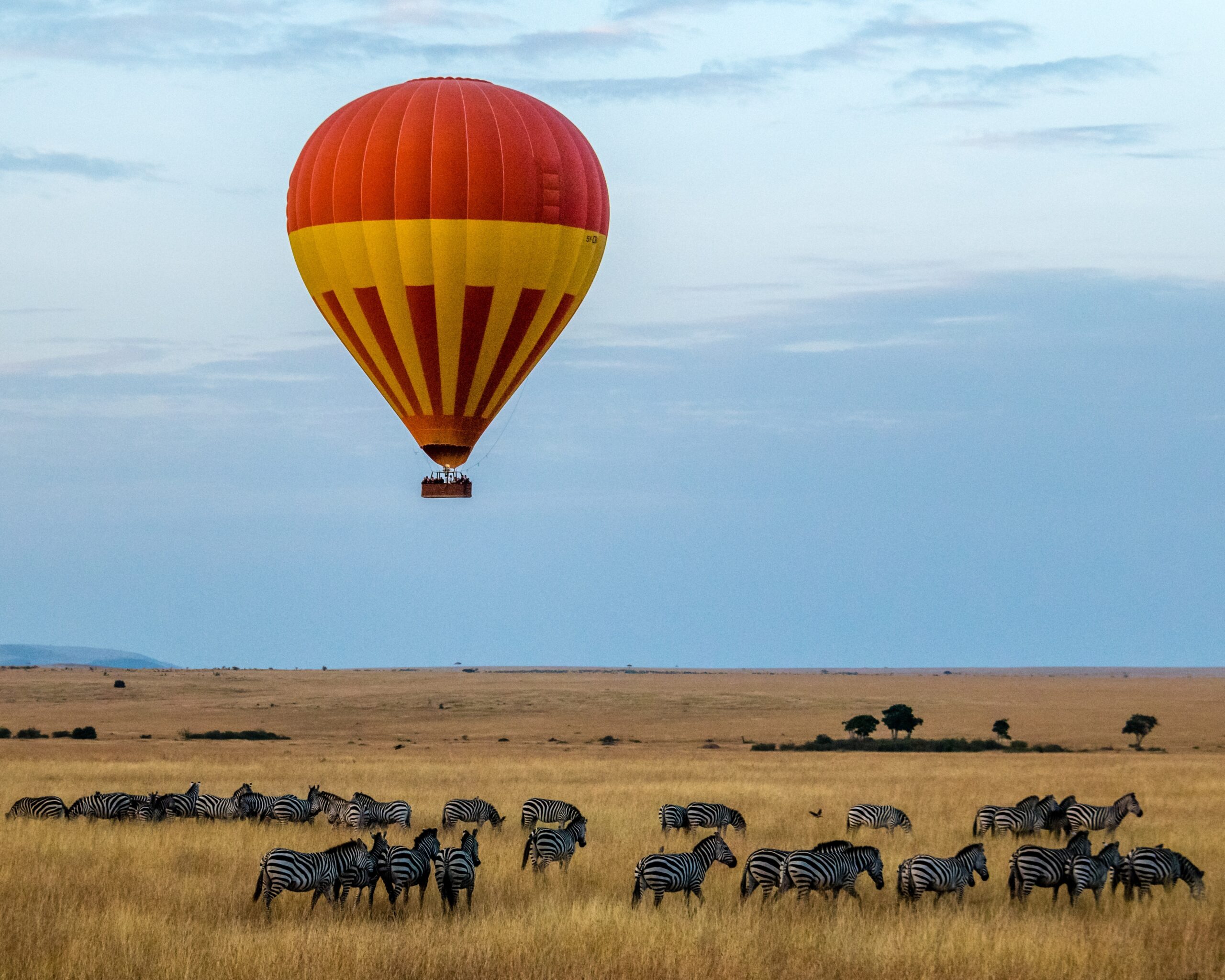 Safari Afrika